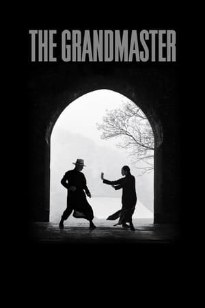 The Grandmaster (2013) Hindi Dual Audio 480p BluRay 350MB ESubs