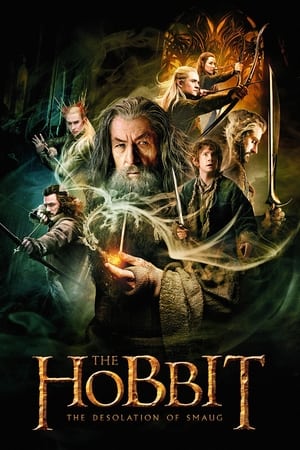 The Hobbit The Desolation of Smaug (2013) Hindi Dual Audio Movie Hevc [200MB] BRRip