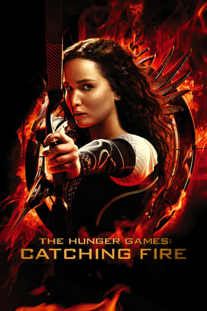 The Hunger Games Catching Fire 2013 Hindi Dual Audio 720p BluRay [1.1GB]