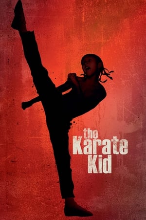 The Karate Kid 2010 Hindi Dubbed 720p Bluray 1GB Movie