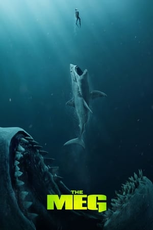 The Meg (2018) Hindi (Org) Dual Audio 720p BluRay [1.1GB]