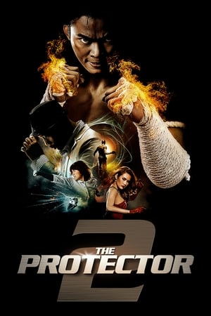The Protector 2 (2013) 100mb Hindi Dual Audio movie Hevc BRRip Download