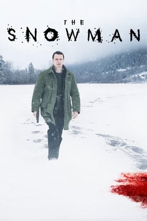 The Snowman (2017) Hindi Dual Audio 720p BluRay [1.1GB]