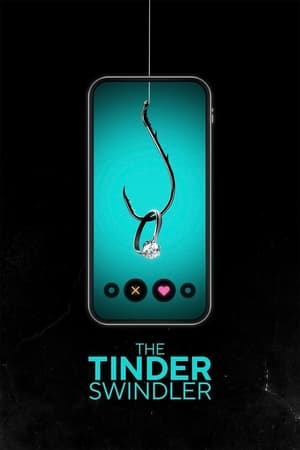 Tinder Swindler 2022 Hindi Dual Audio HDRip 720p – 480p