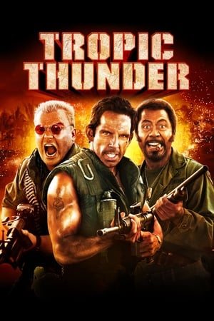 Tropic Thunder (2008) Hindi Dual Audio 480p BluRay 350MB
