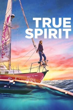 True Spirit (2023) Hindi Dual Audio HDRip 720p – 480p