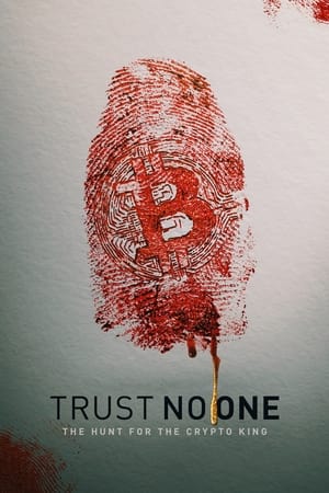 Trust No One: The Hunt for the Crypto King (2022) Hindi Dual Audio HDRip 720p – 480p