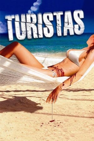 Turistas (2006) Dual Audio Hindi Full Movie 720p BluRay [ESubs] - 880MB