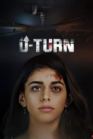 U-Turn (2023) Hindi HDRip | 720p | 480p