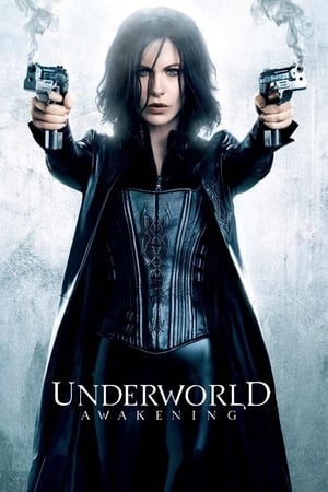 Underworld Awakening (2012) 100mb Hindi Dual Audio movie Hevc BRRip Download