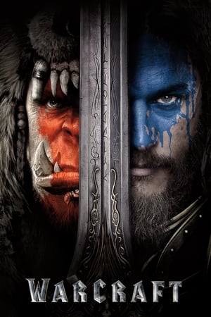 Warcraft: The Beginning (2016) Hindi Dual Audio 720p BluRay [1.3GB] ESubs