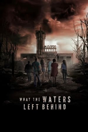What the Waters Left Behind 2017 Hindi Dual Audio HDRip 720p – 480p