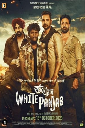 White Punjab 2023 Hindi HDRip 720p – 480p