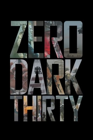 Zero Dark Thirty 2012 Hindi Dual Audio 480p BluRay 450MB
