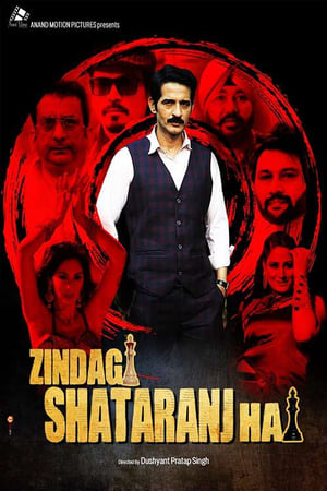 Zindagi Shatranj Hai (2023) Hindi Movie Pre-DVDRip 720p – 480p